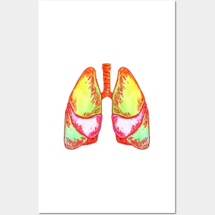 Lungs Posters and Art